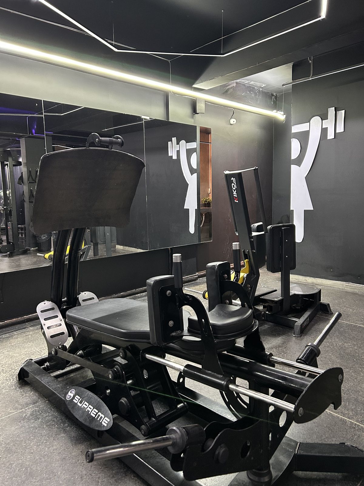 Musculação