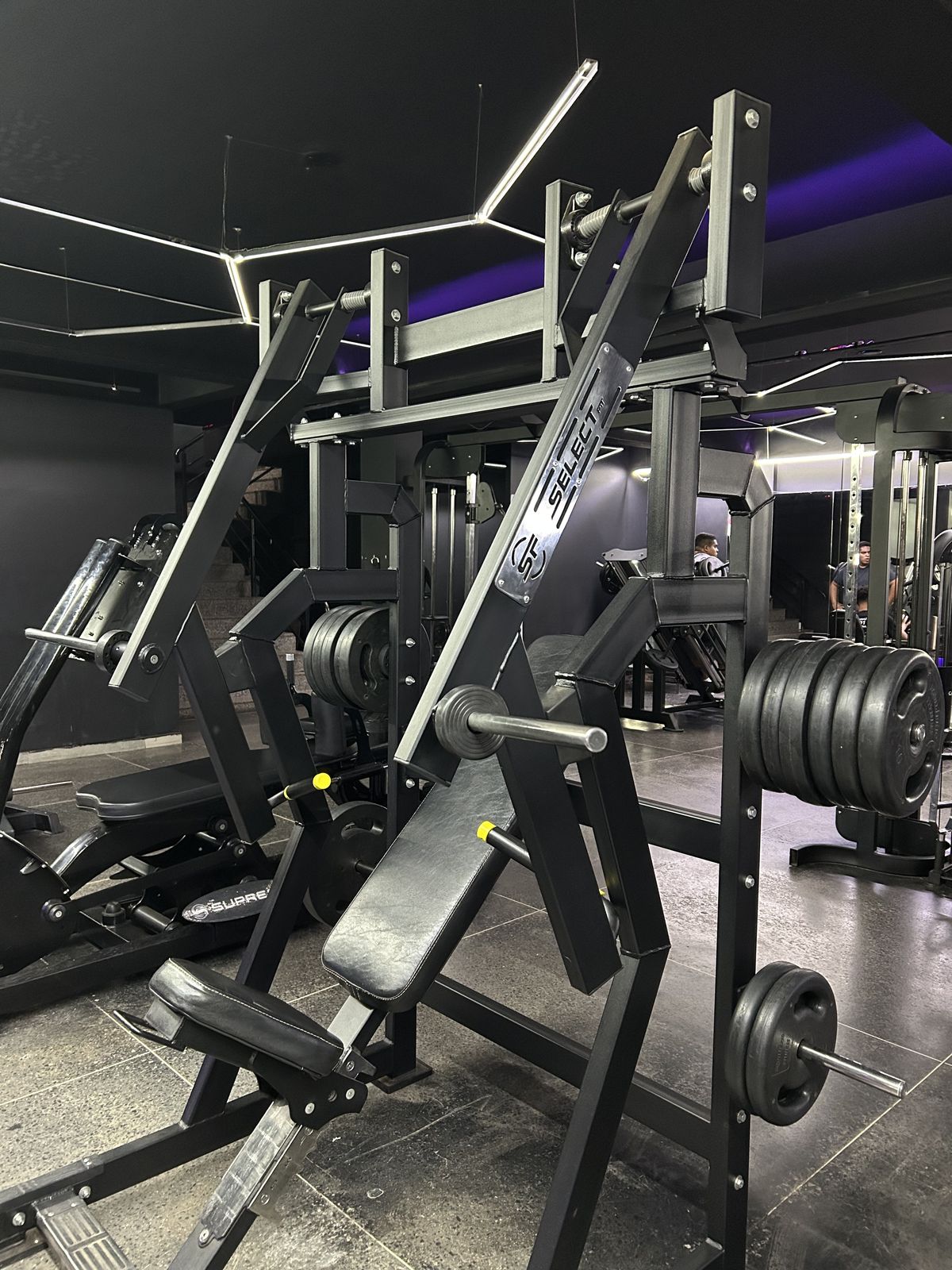Musculação